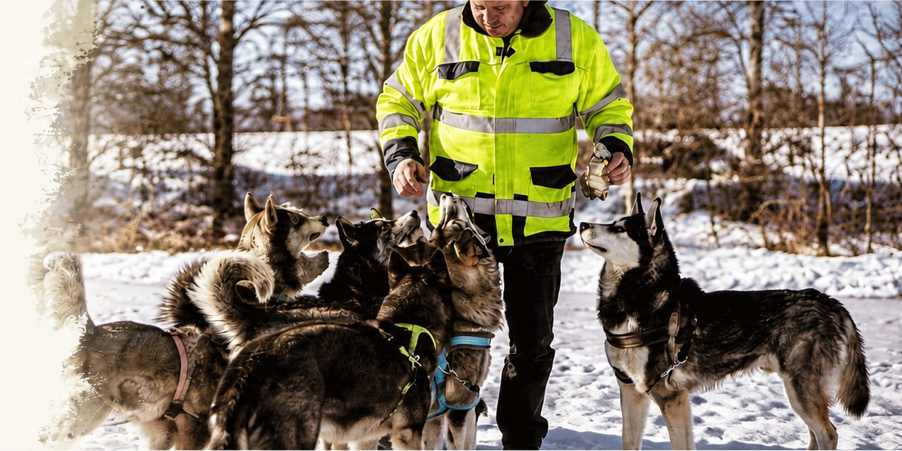 Michael mit dem Husky-Rudel im Schnee