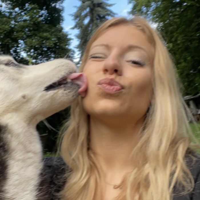 Ein Husky gibt einem Mädchen einen Kuss